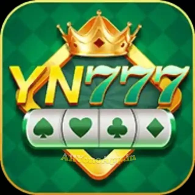 Image for YN777