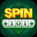 Image for SPIN 101